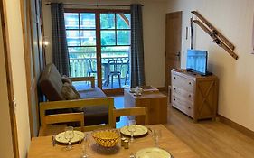 Appartement T2+Coin Nuit 6 Pers Residence De Cami Real Au Centre Du Village De Saint Lary Soulan Avec Piscine Interieure+ Sauna Et Hammam